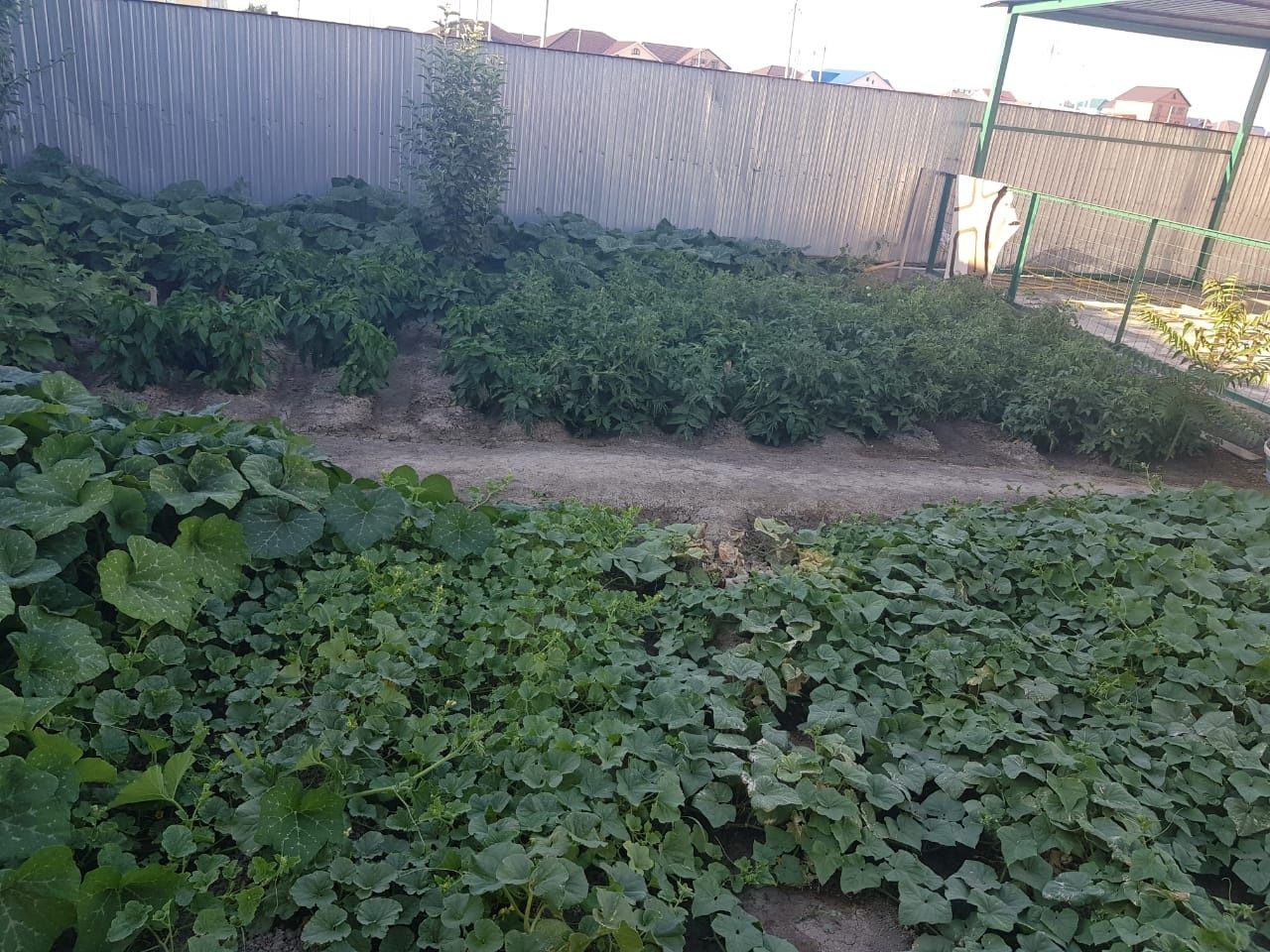 Продам Коттедж .