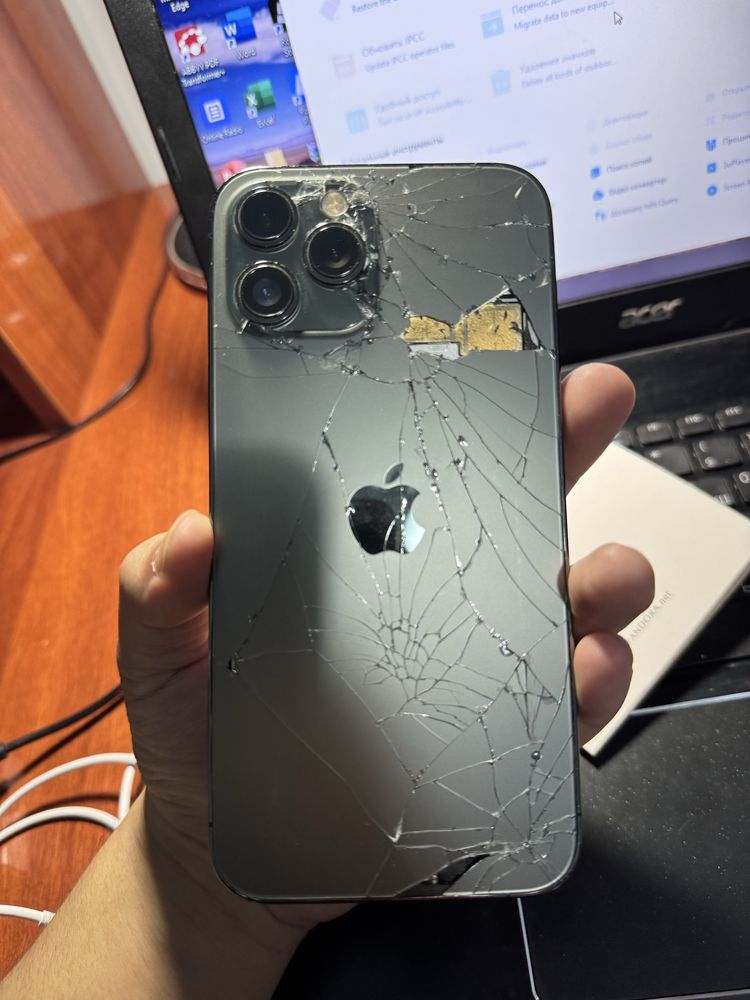 iphone 12 pro max