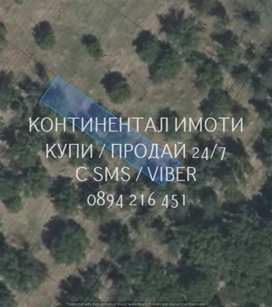 коддд 63118. Орехи 550м2 сред голям орехов масив