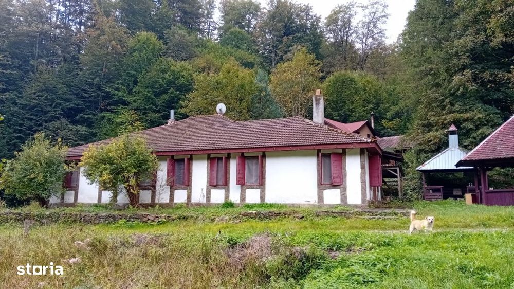 Casa de vacanta Crivaia, langa Valiug –locatie idilica, ideala pentr