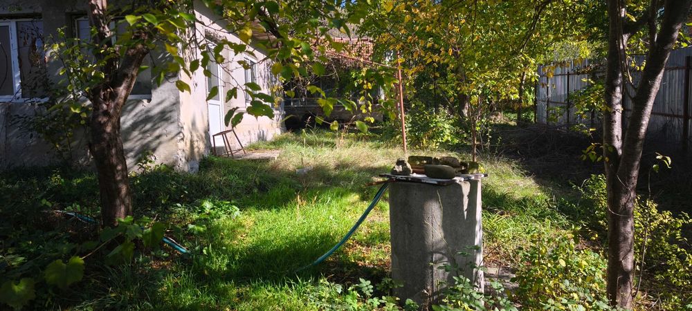 Teren intravilan Bârnova - 40 EUR mp