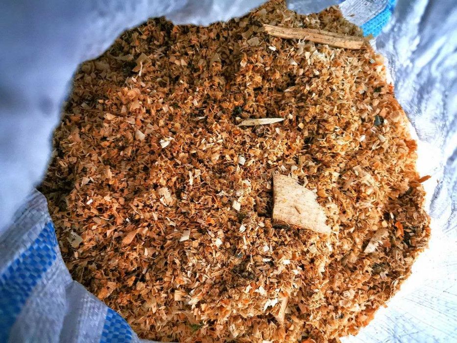 Vand rumegus de lemn de Fag. Pentru afumat mezeluri.