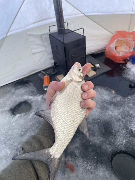 Дровяная печь следопыт для зимней полатки