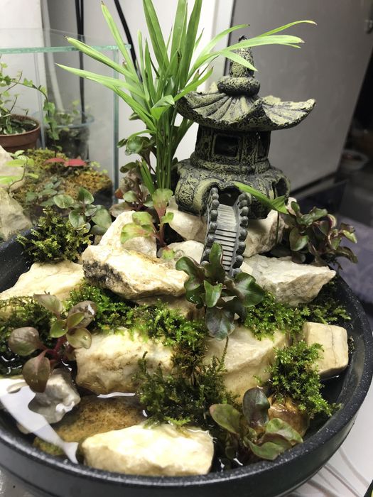 Продам мини водопад!