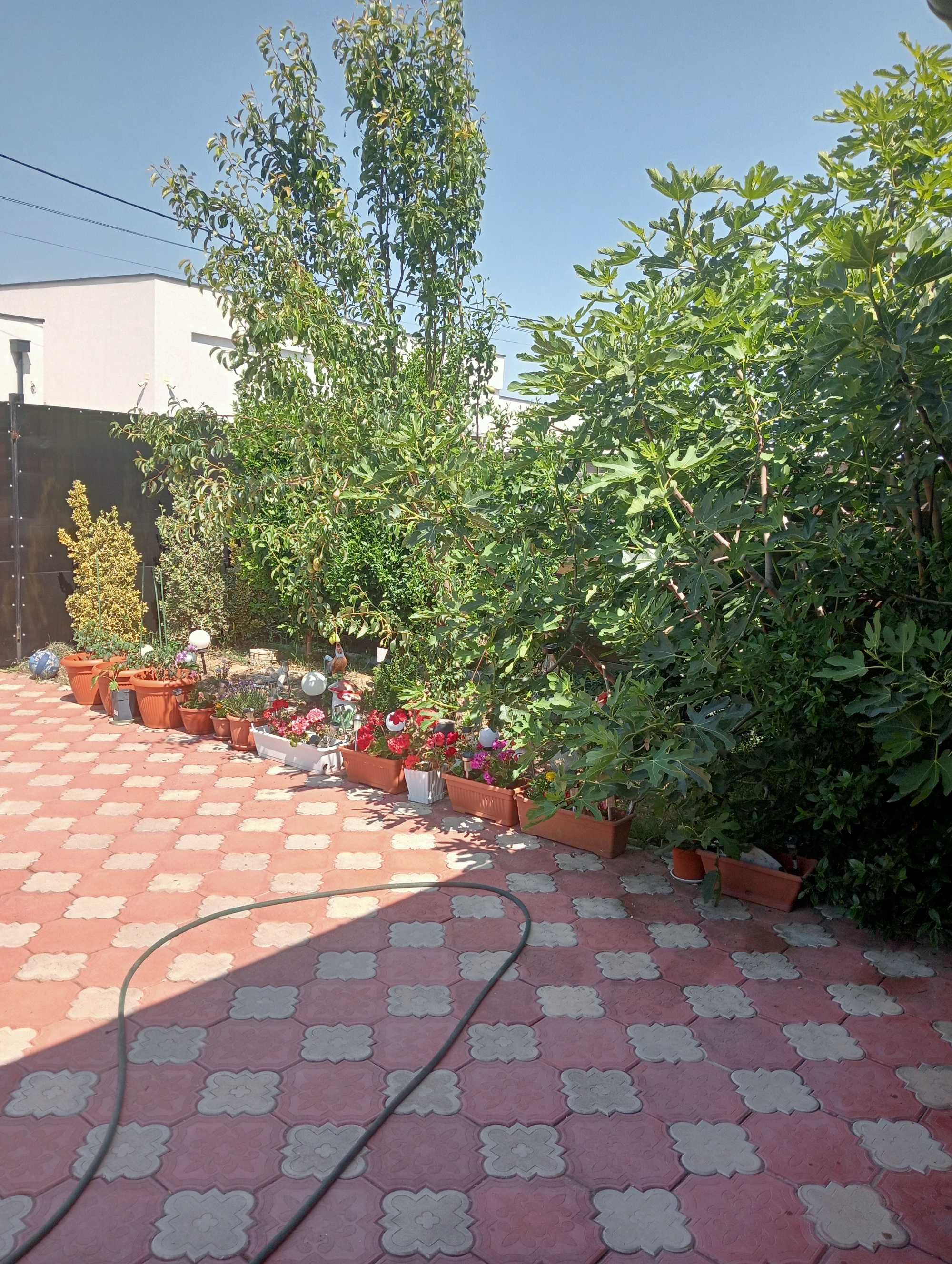 Vând sau schimb casă în Nojorid