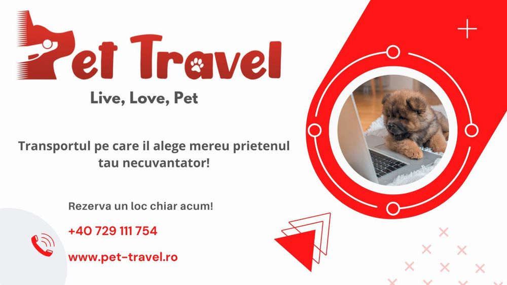 Transport animale de companie Constanta-Bucuresti (catei, pisici)