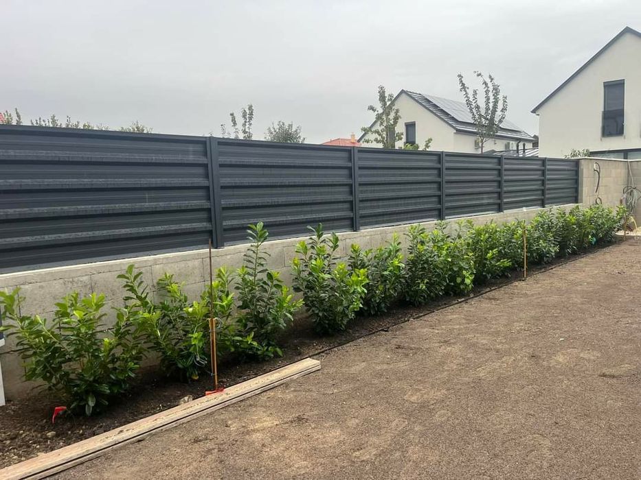 Gard  verde / Prunus Laurocerasus / Photinia Red Robin / Leylandii