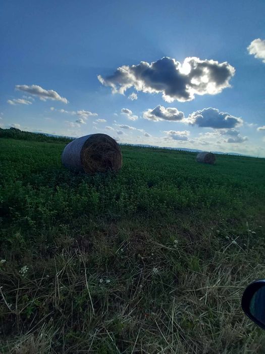 Baloti rotunzi lucerna coasa a doua