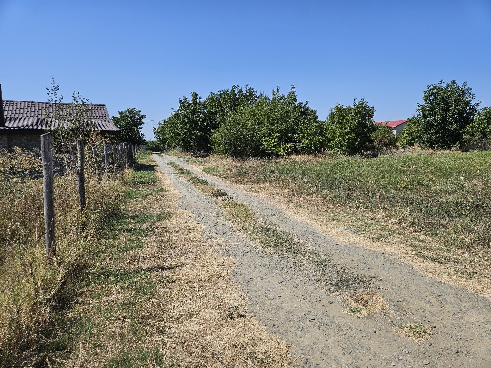 Teren intravilan la 25 km de București.