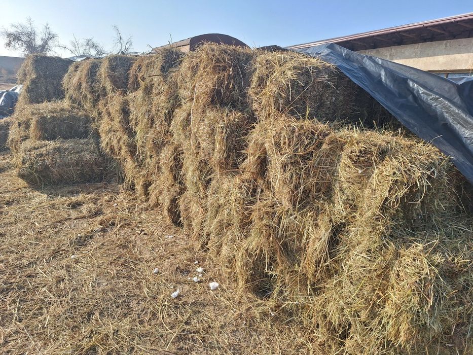 Хащак пресс сотилади