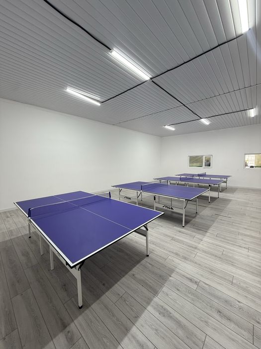 Настольный теннис