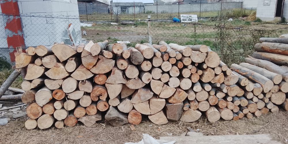 Vând lemne bune de fag transport