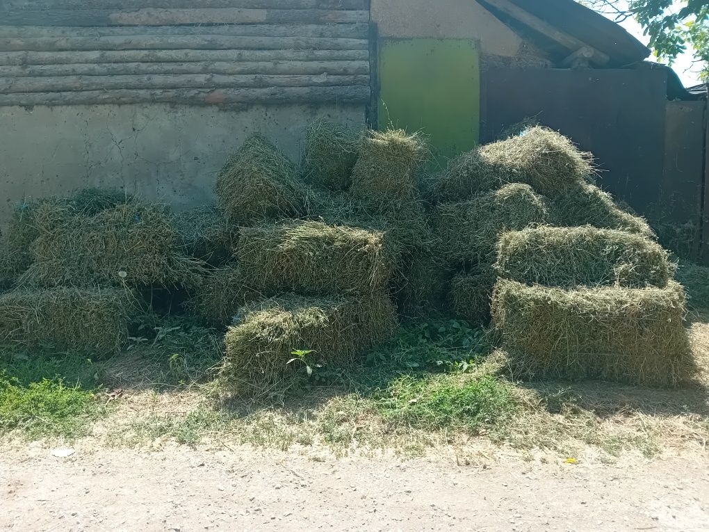Бали люцерна трети откос