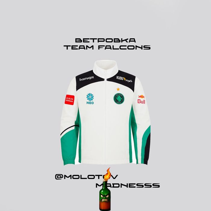 Ветровка Team Falcons

19.500 тенге

Размеры L-XL