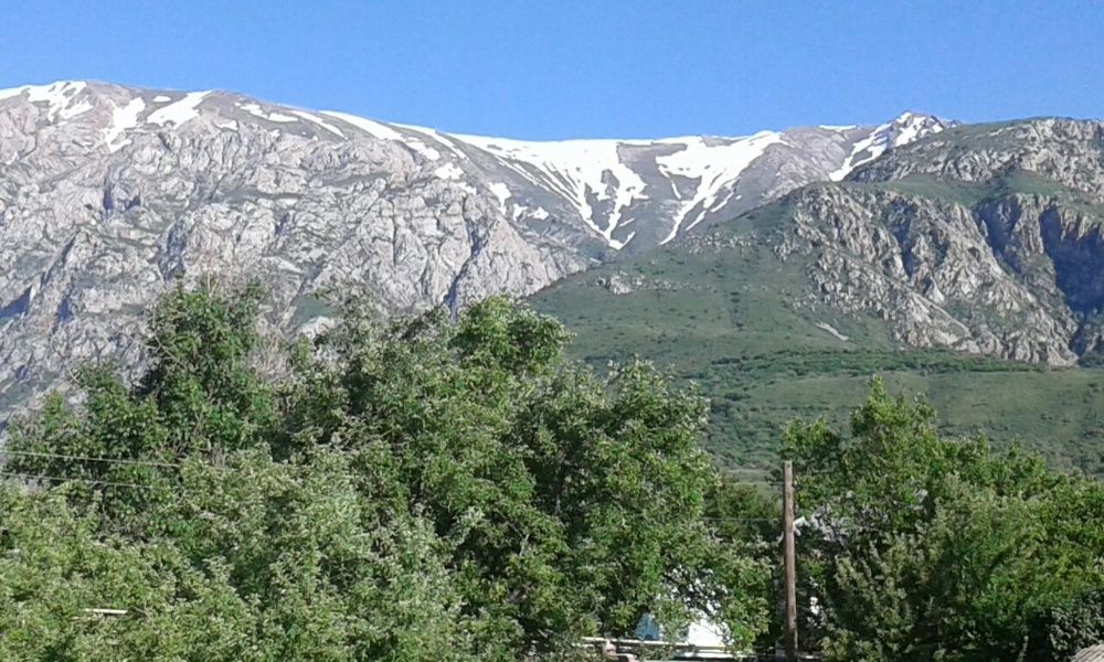Дача в Бургулюке
