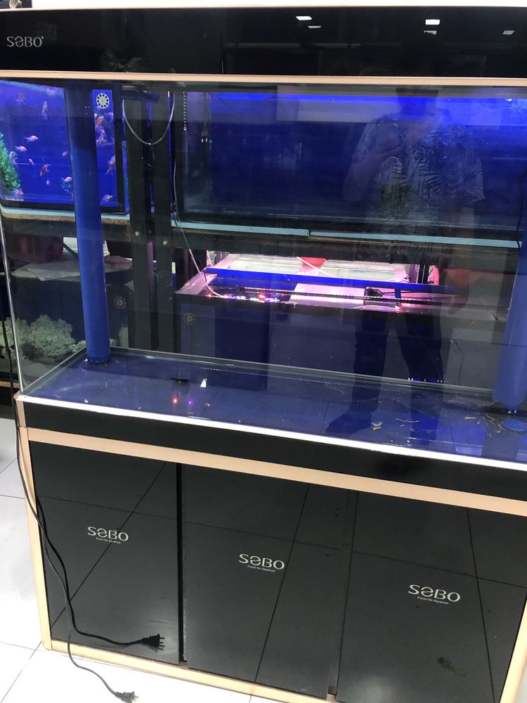 Akrium 350 litorli