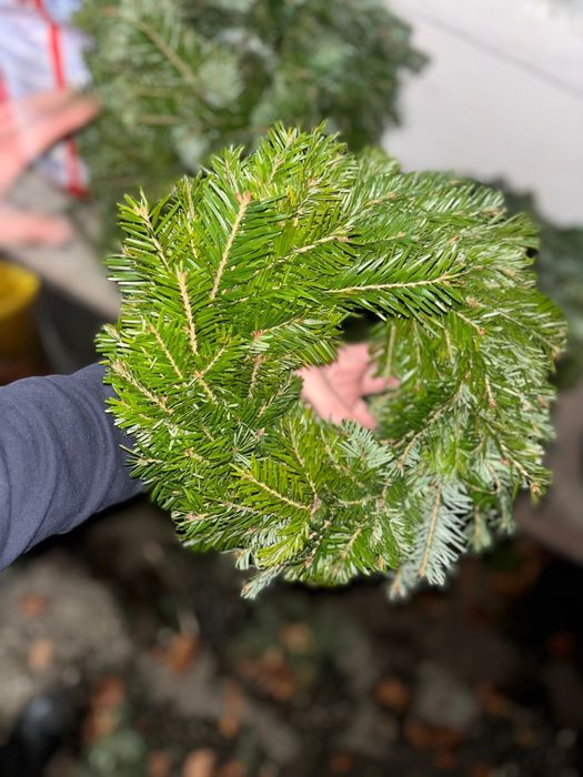 Coronite de craciun din brad natural