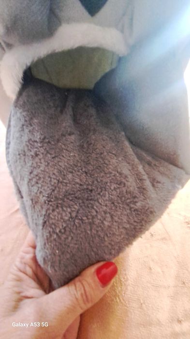 Къщичка за домашен любимец