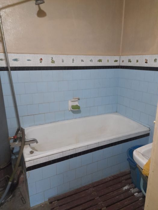 Casa in Tarnova, jud. Arad - 741mp - Gradina