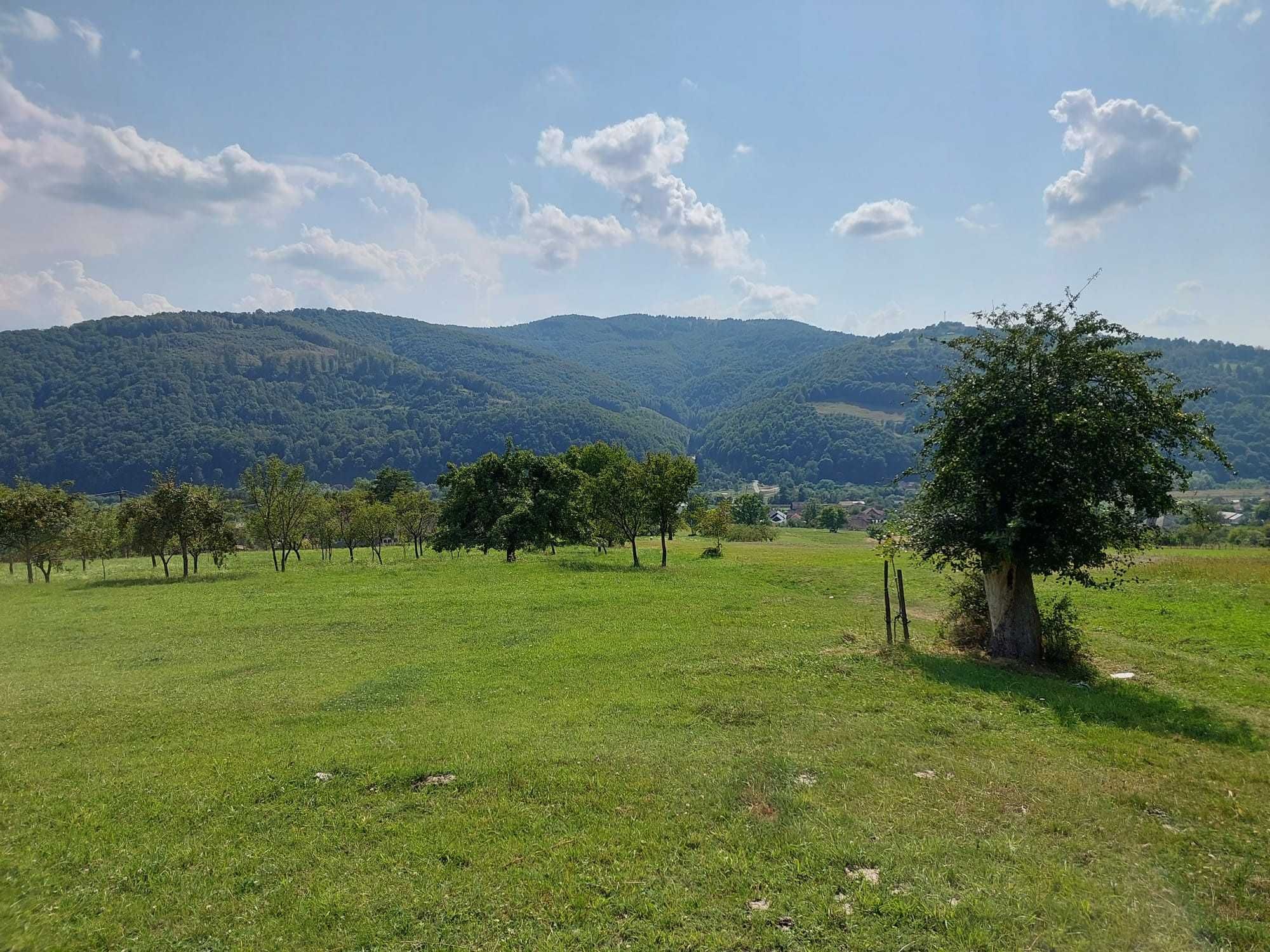 Teren de vânzare – 4827 mp | Ideal pentru casă sau pensiune
