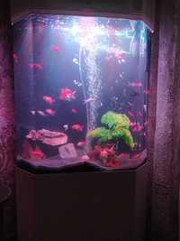 Продам аквариум от фирмы Clear Aquatics