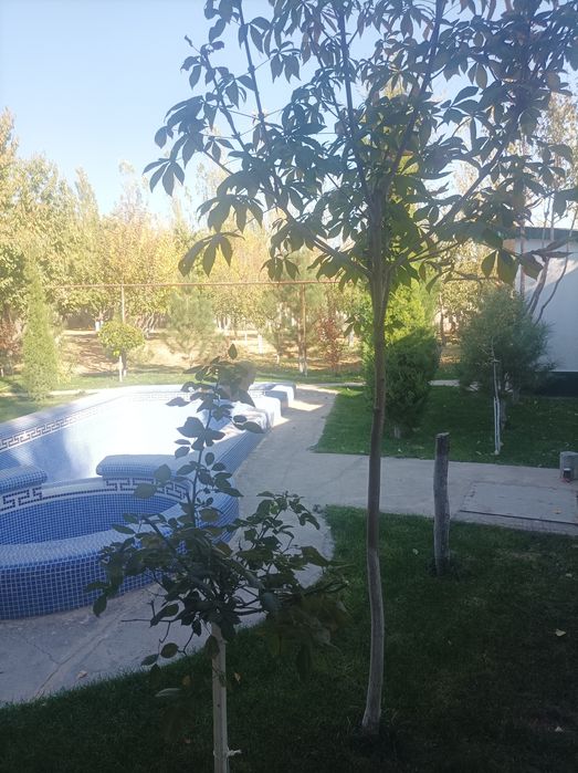 Oktosh Dacha Dacha oktosh oila uchun Дача сэмэнапя в Акташе