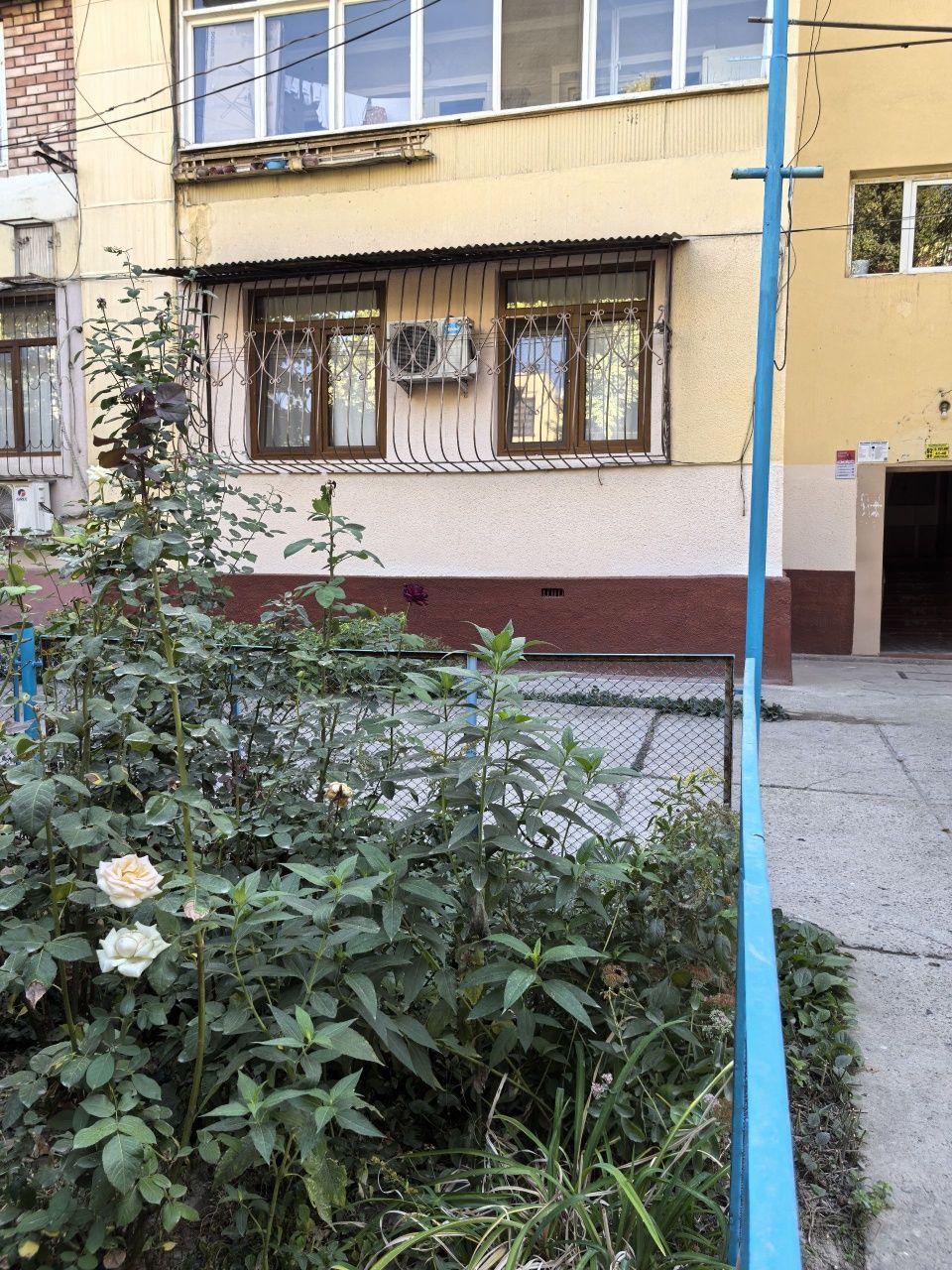Ц-5. Метро Минор 4/1/4 Рестаран LALI(На небе)