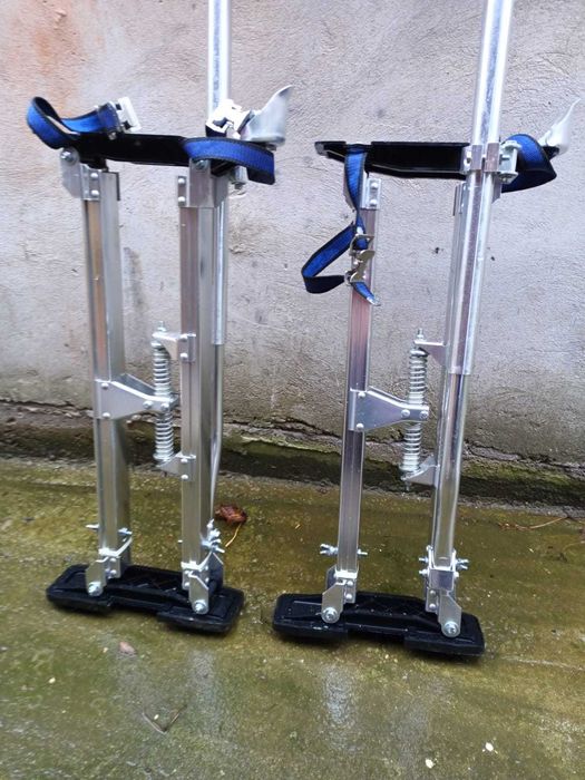 Picioroange , catalige .