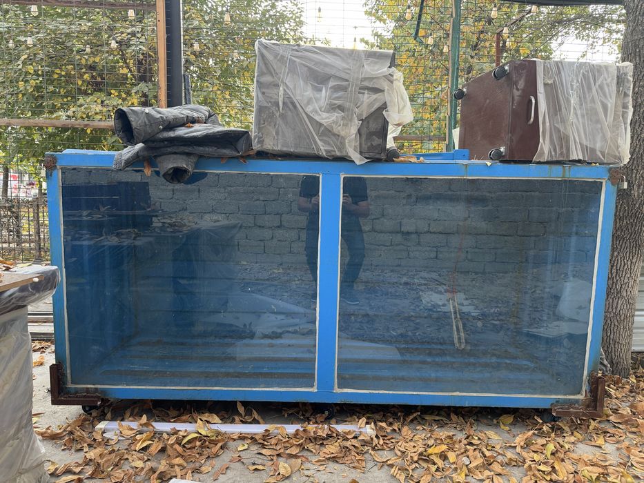 Akvarium baliqlar uchun