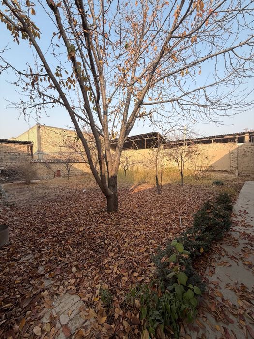 Земля участок 6 соток Юнусабадский район