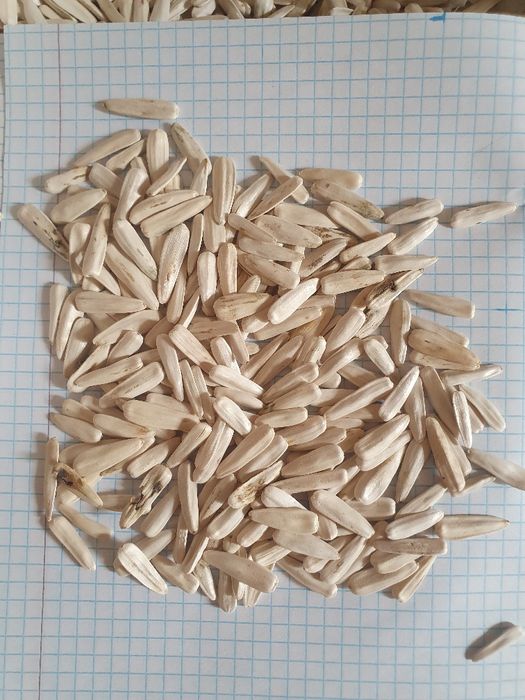 Семечка бор 20 тонна