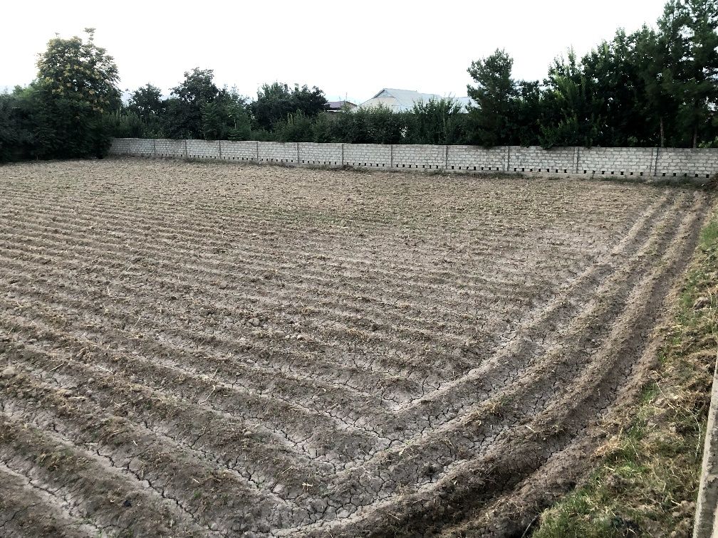 Yer sotiladi 5 sotihdan 10 sotihgacha ( talabga qarab)