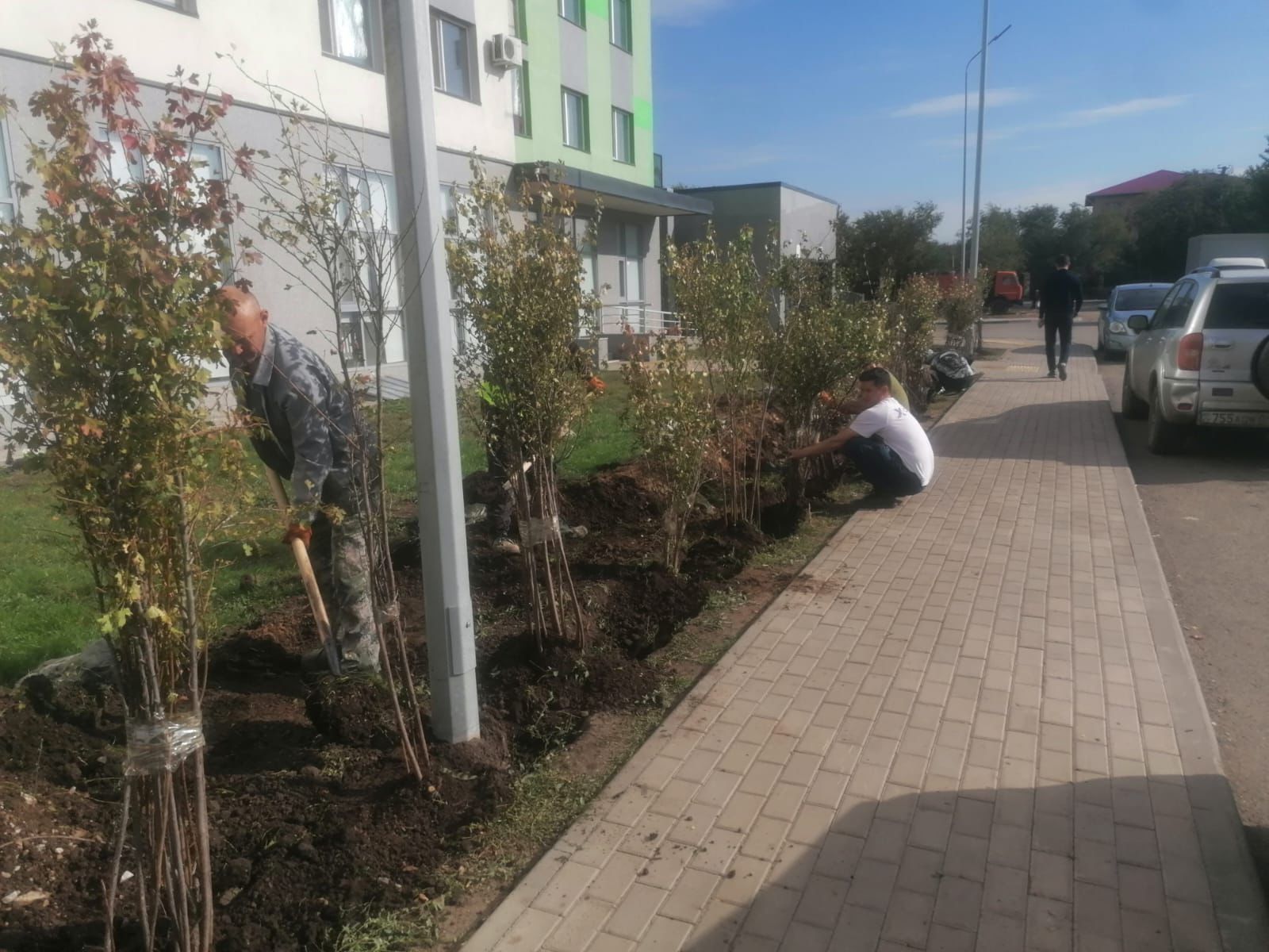 Озеленение, автополив, посадка деревьев и газона.