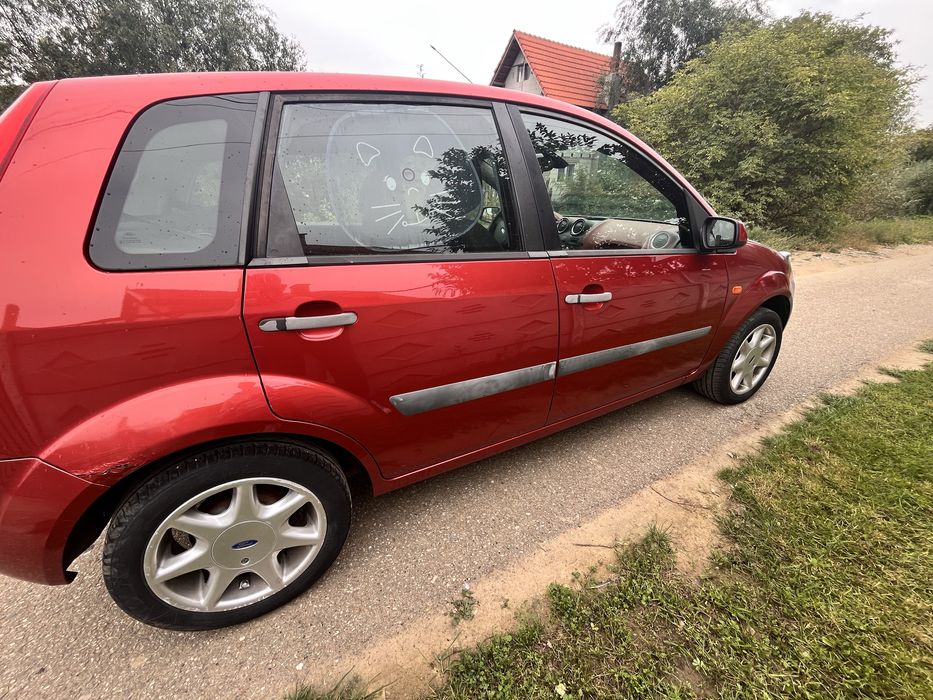 Vand Ford Fiesta