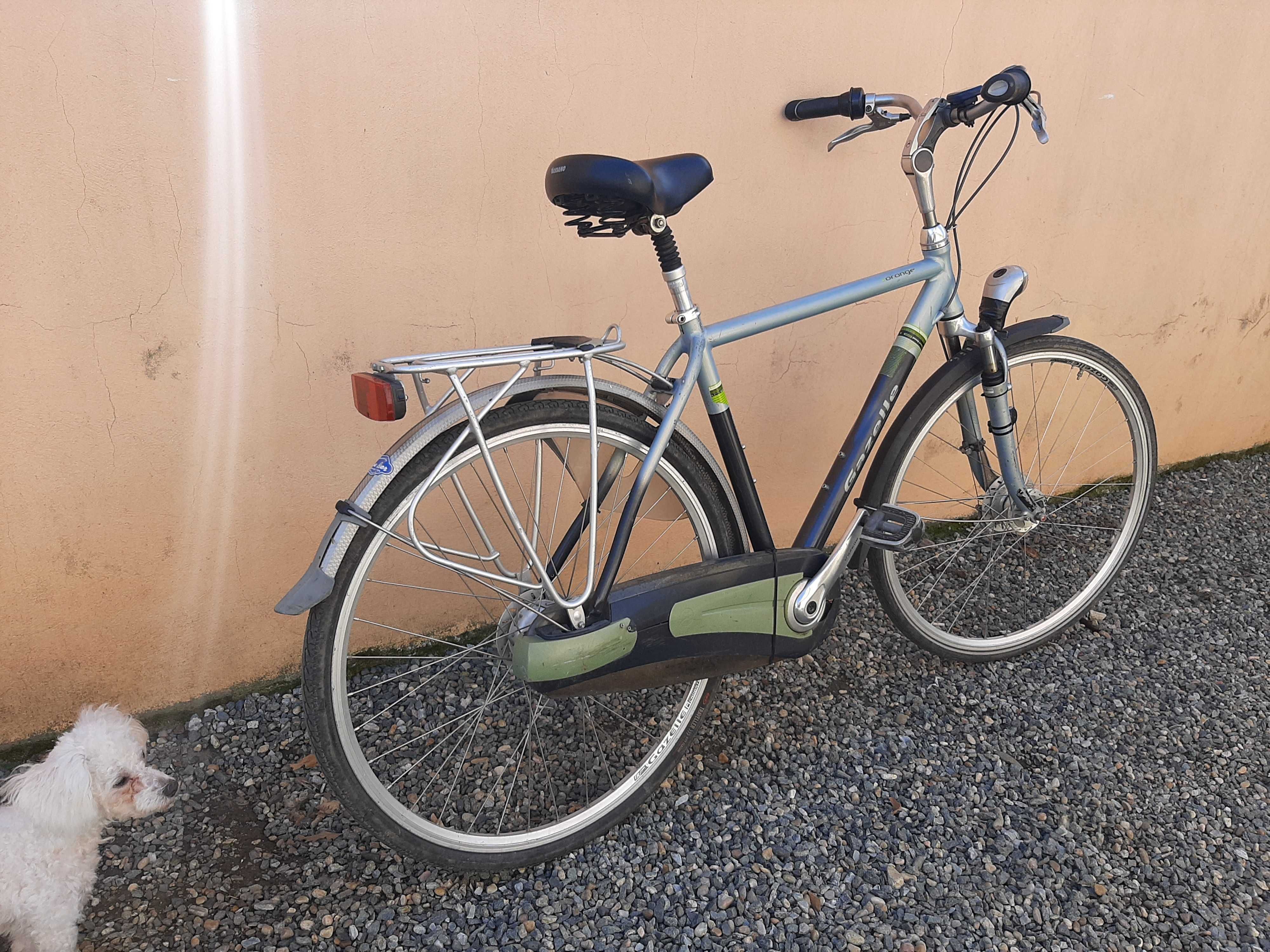 Bicicleta olandeza Gazelle