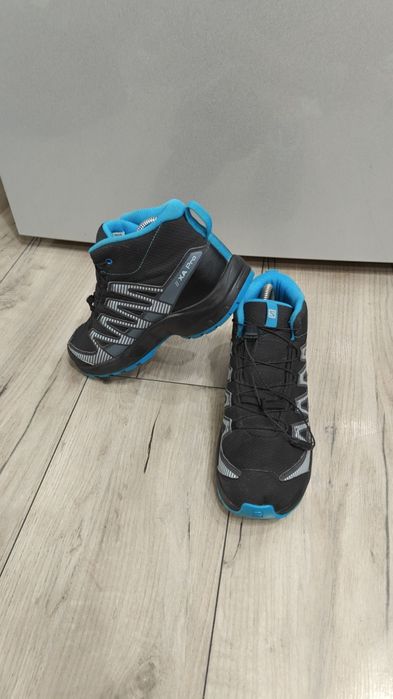 Salomon Nr   37 .