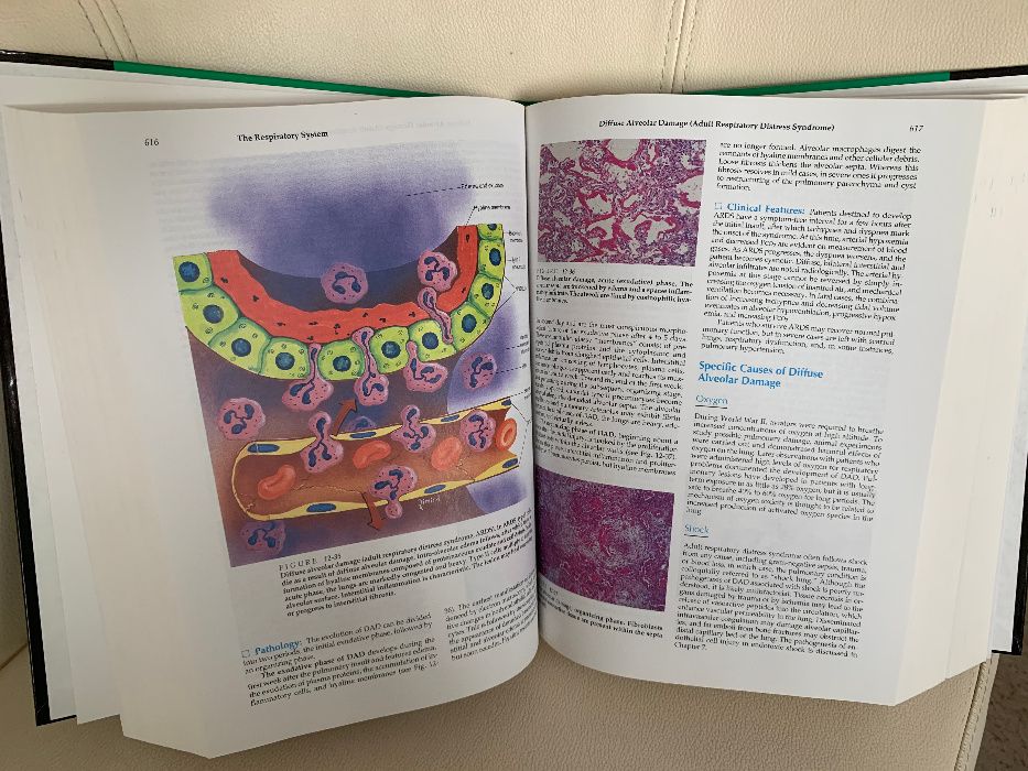 Rubin & Farber - Pathology Textbook, ed 3, NOU, patologie