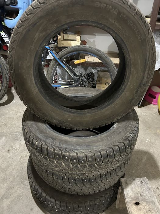 продам покрышки зимний шипы