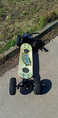 Skateboard electric