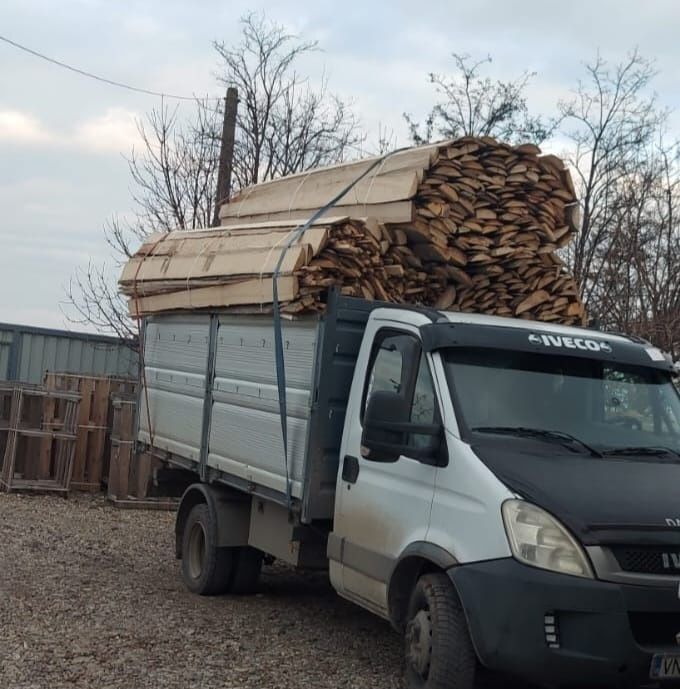 Deseuri laturoaie brad& molid si busteni fag esenta tare