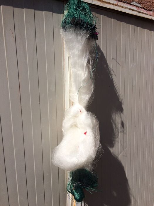 Plase pescuit cu radine