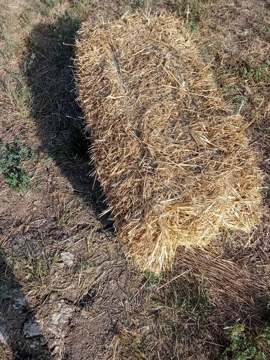 Vând  baloti de paie