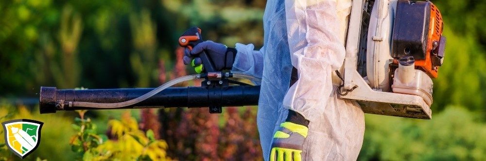 PestControl Bucuresti - Servicii DDD Bucuresti- Dezinsectie Deratizare