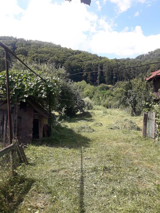 Vând casă în Piatra Neamț