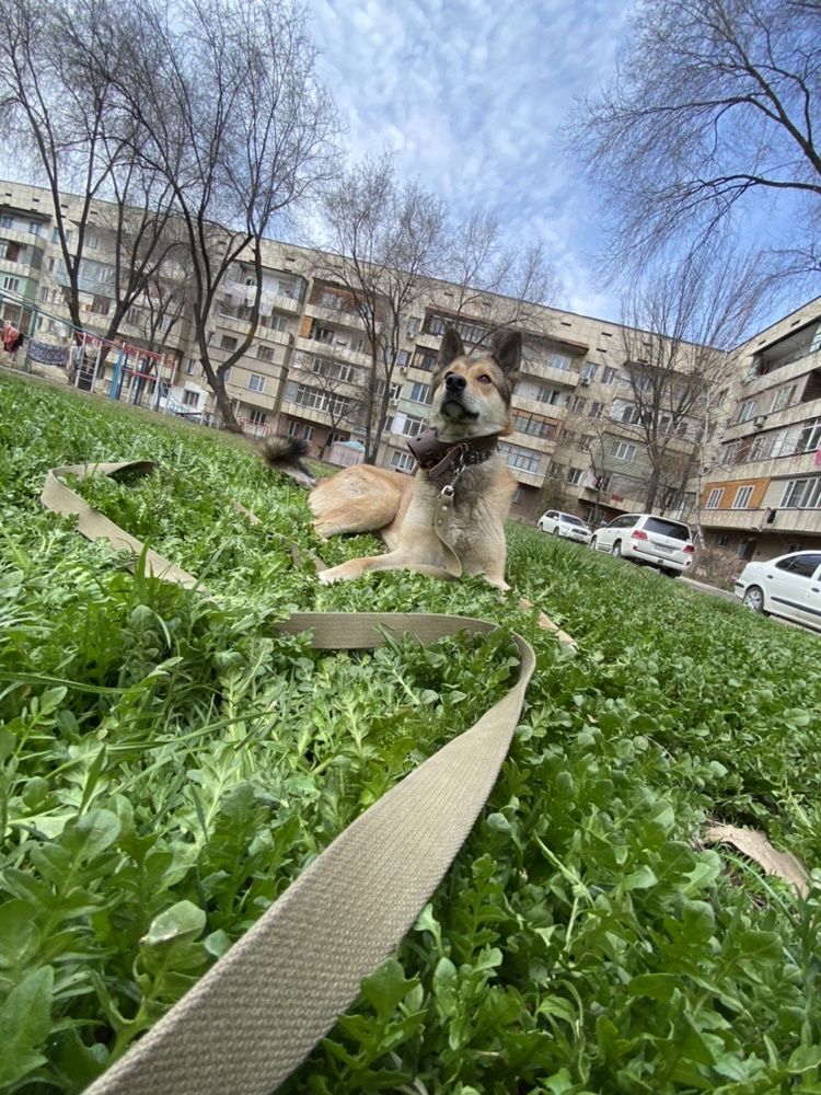 Зсл.Вязка.4года.