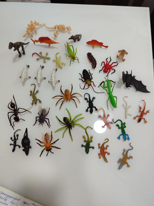 Обитатели флоры и фауны( комплект 40 шт)