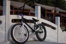 BMX custom(odyssey)