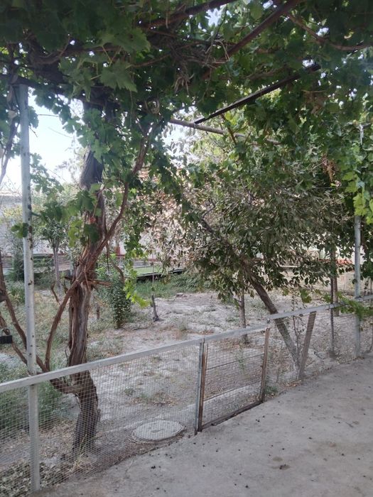 Uchaska  ijaraga beriladi