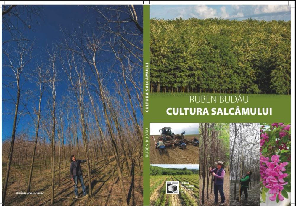 Cultura salcâmului