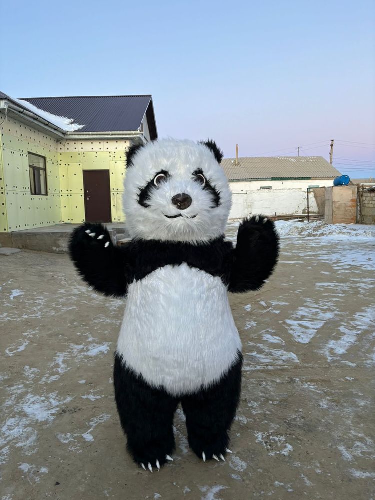 Панда мишка аниматор аю